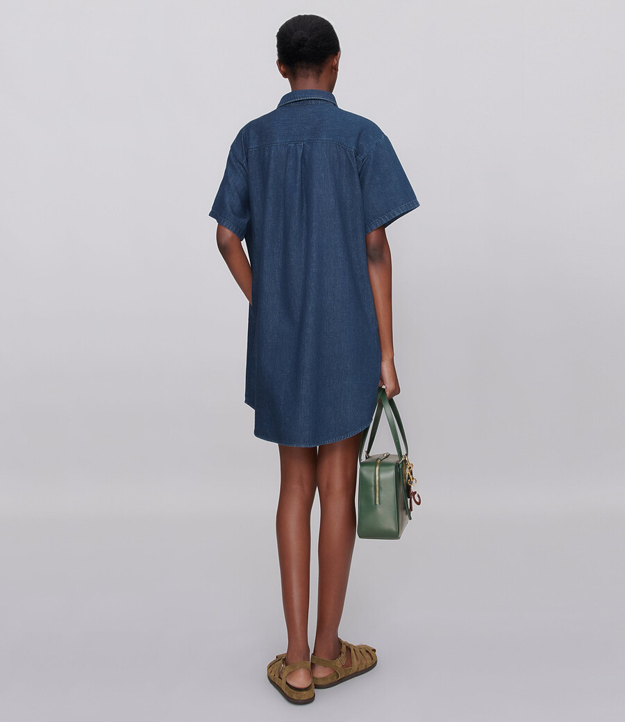ary dress